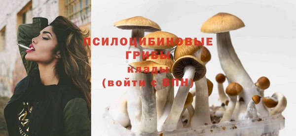 молекула духа Верея
