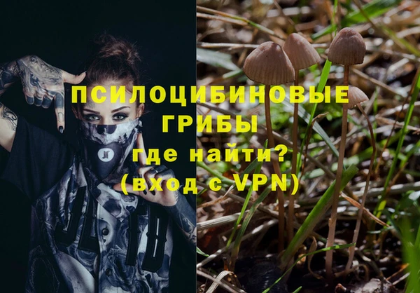 молекула духа Верея